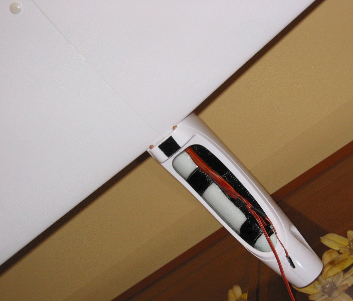 Ion Pro